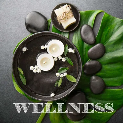 Wellness bij Groen & Gezond